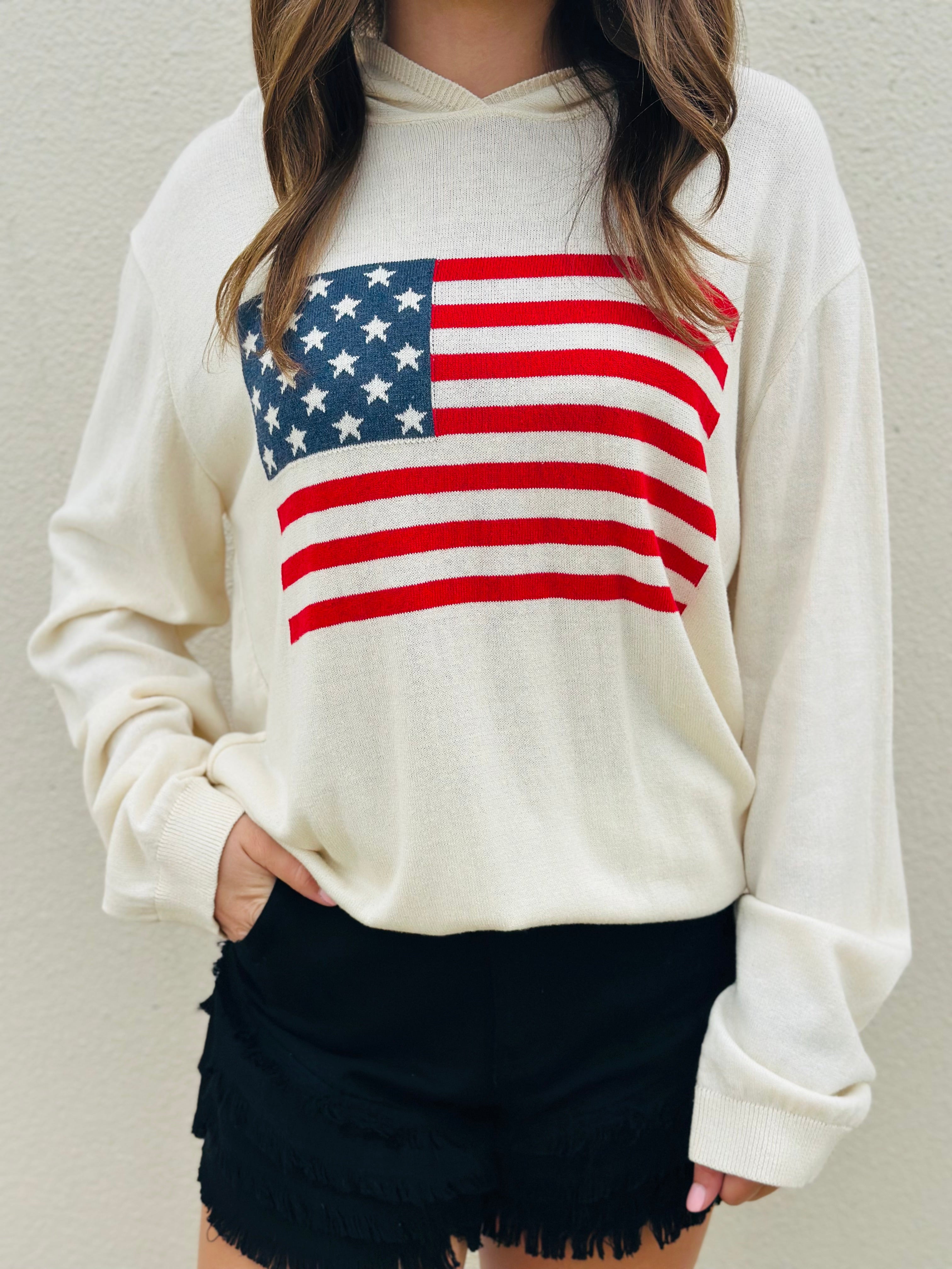 AMERICAN FLAG KNIT HOODIE