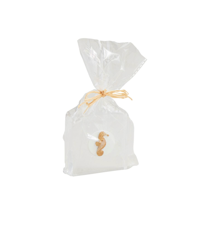 SHELL ACRYLIC SITTER