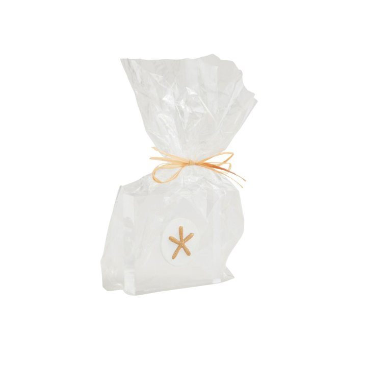 STARFISH ACRYLIC SITTER