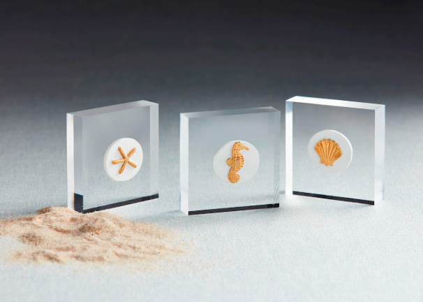 STARFISH ACRYLIC SITTER