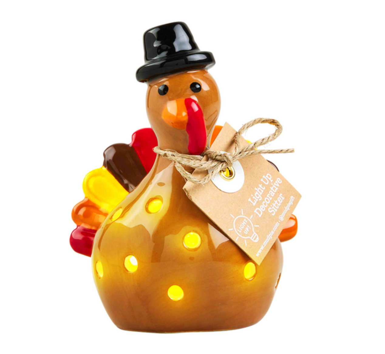 LIGHT-UP TURKEY SITTER