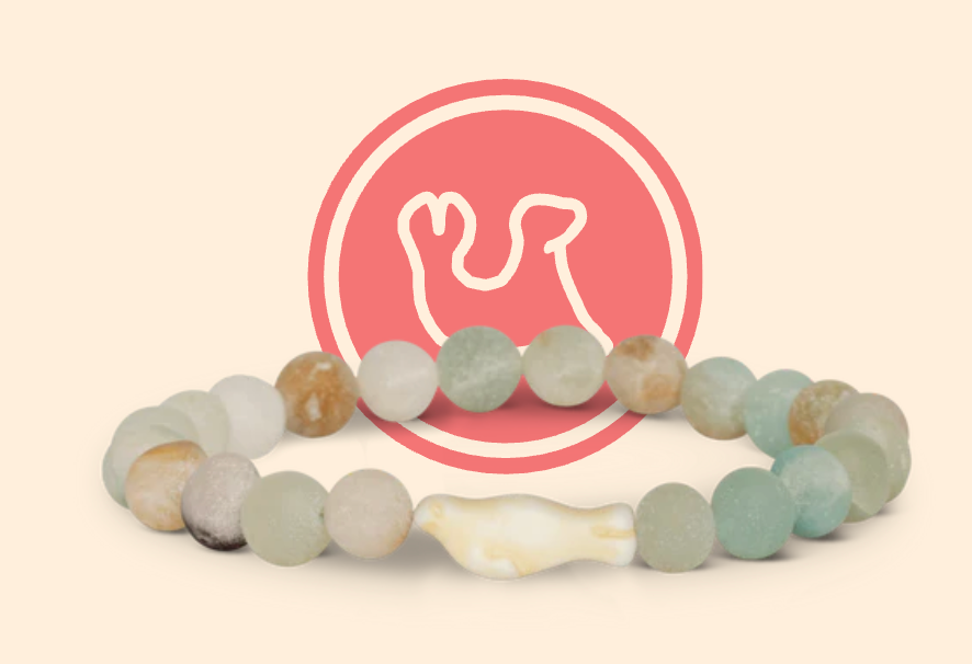 FAHLO THE GLIDE BRACELET